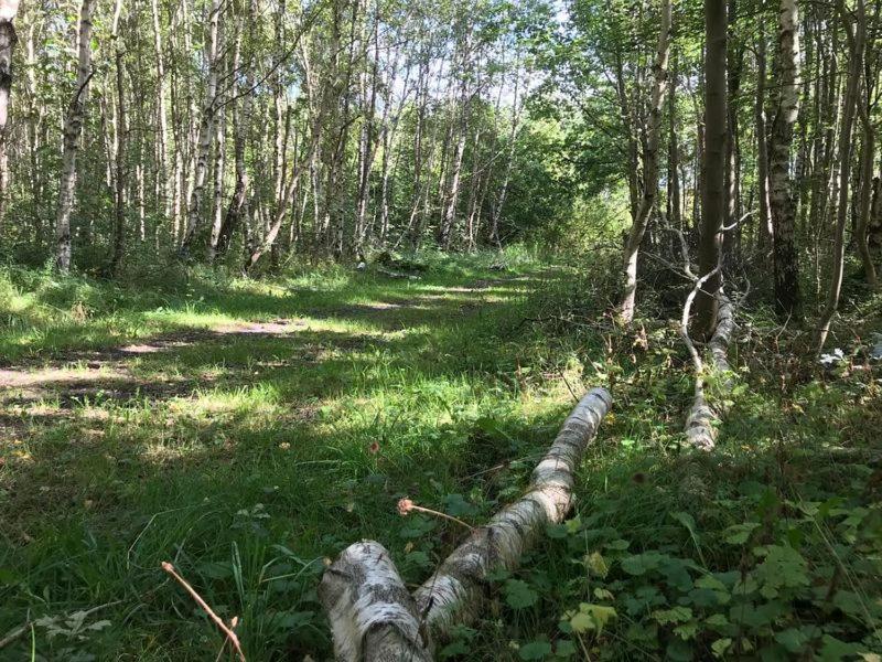 Enjoy Natur, See Und Meer Chalet Lauwersoog- 1-6 Pers- 3 Schlafzimmer, 2 Badezimmer- Fruehes Einchecken Ab 14 Uhr المظهر الخارجي الصورة